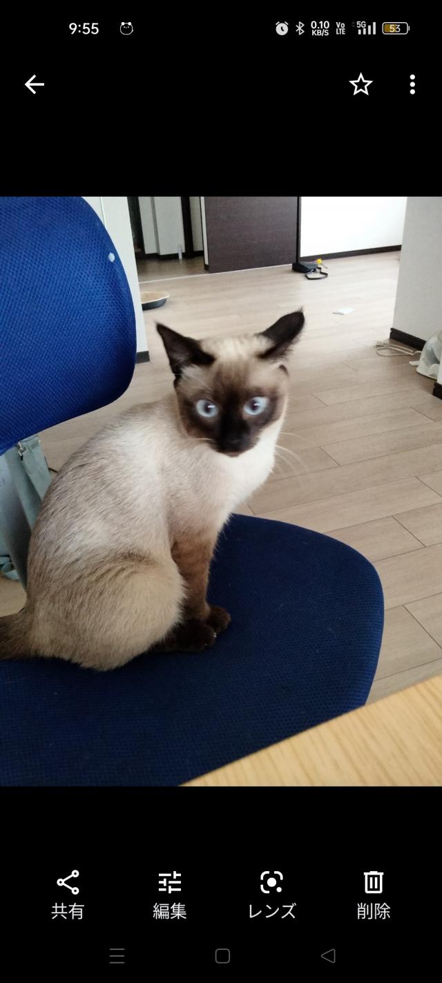みいちゃん