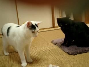 まる