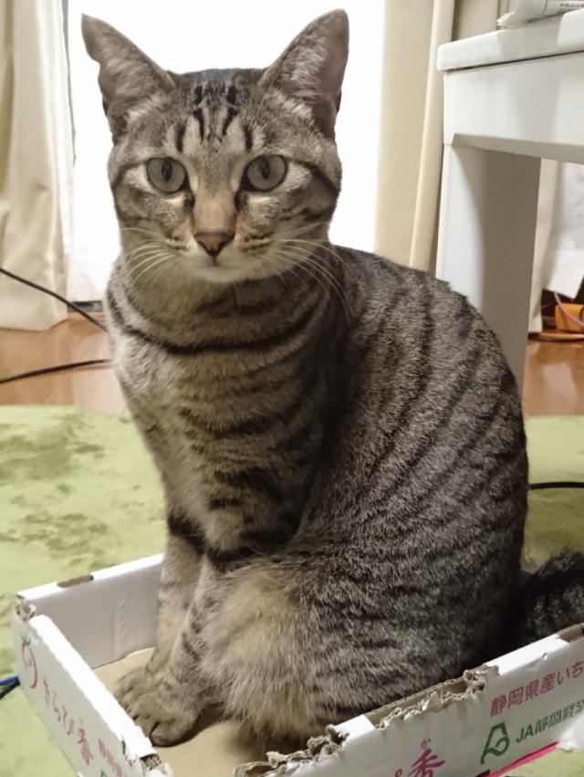 くり