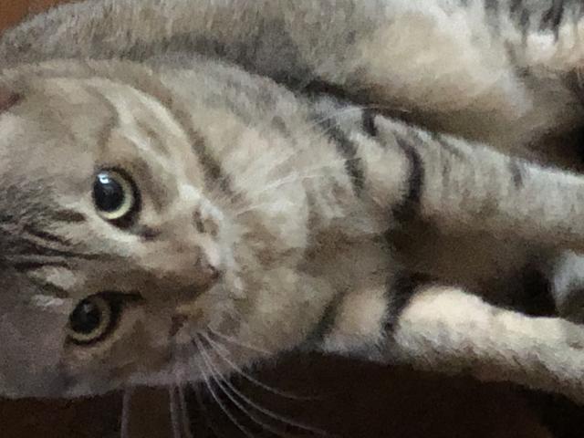 うり