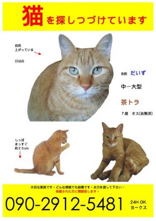 だいず