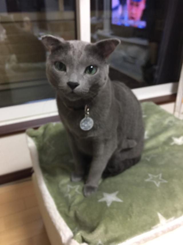 ルオ(ルヲ)