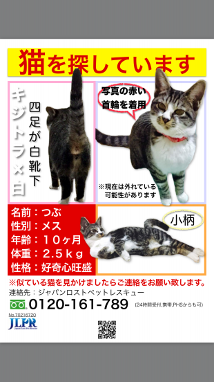 つぶ