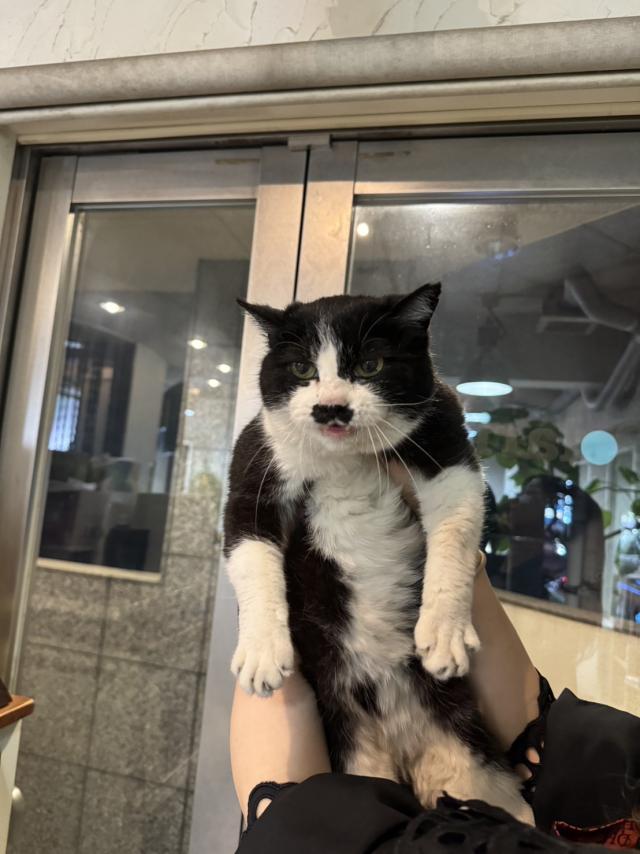 チャーリー