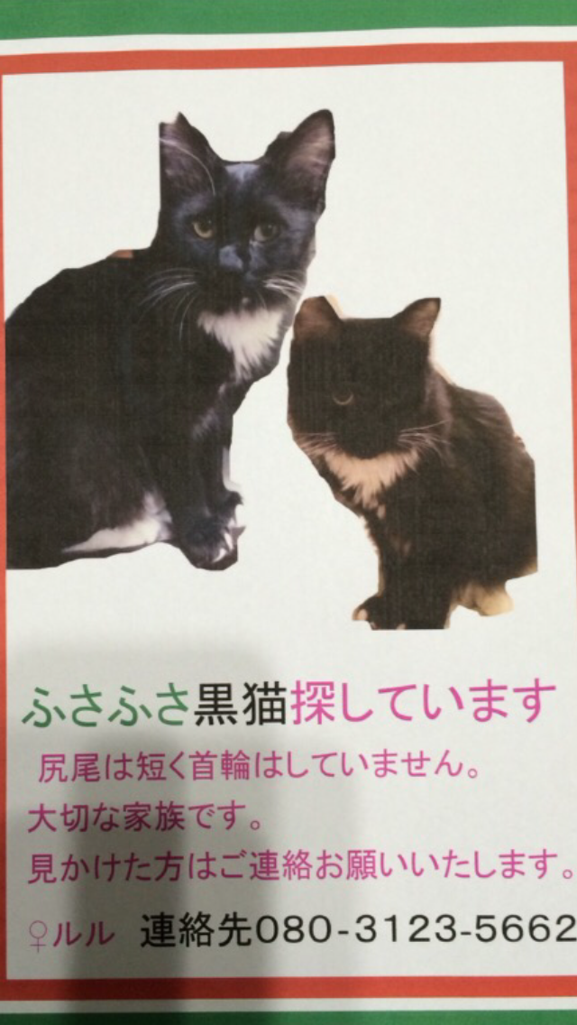 ルル