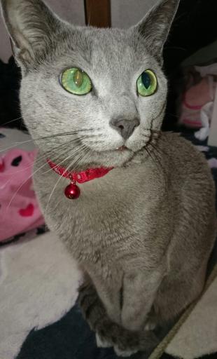 ルナ