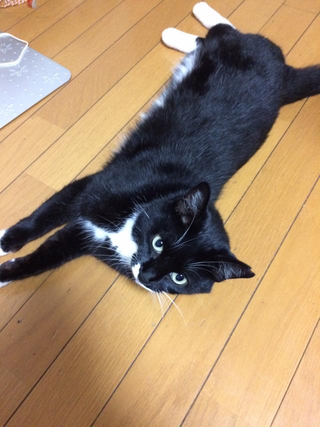 ごま