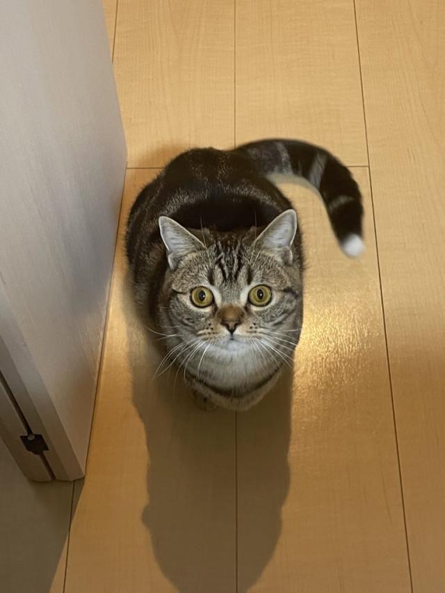 クー