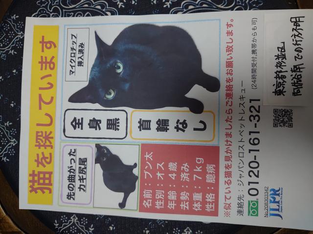 ブン太