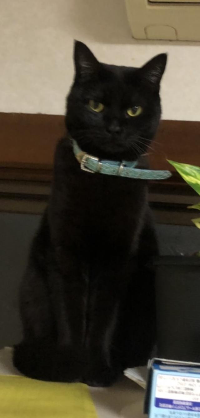 ハナ