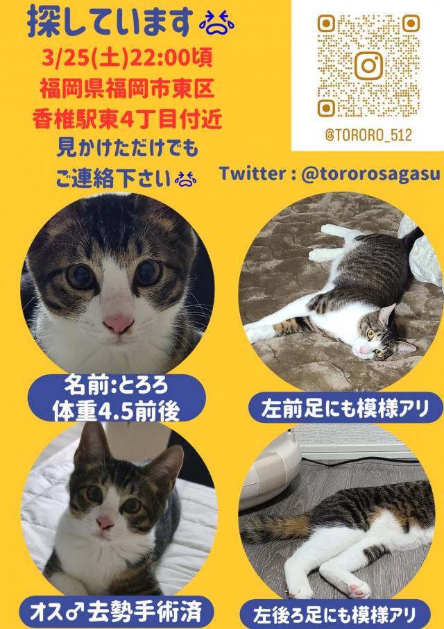 とろろ