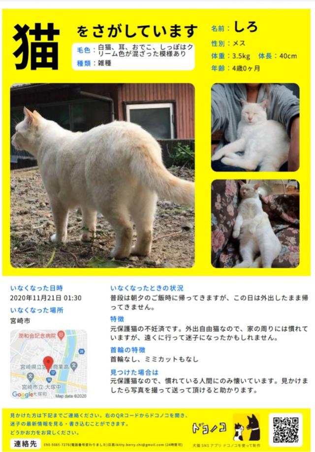 しろ