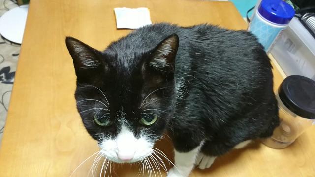 まくろ