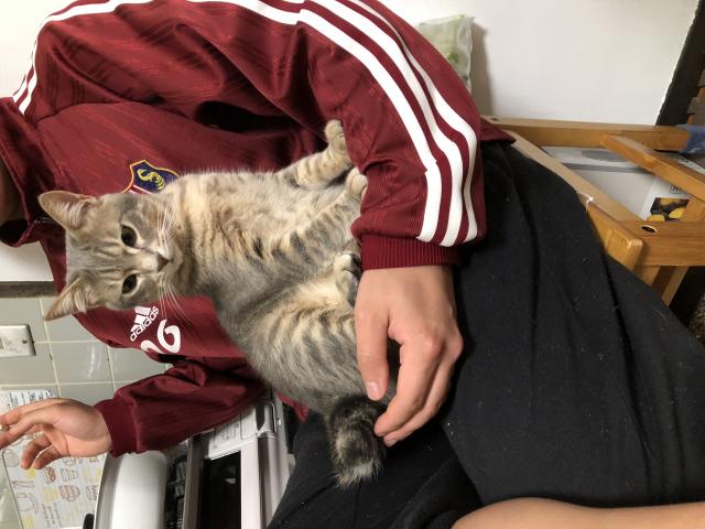 りょう