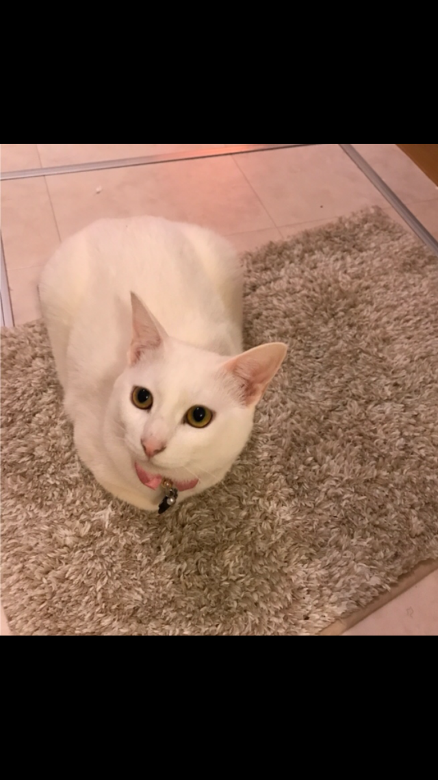 かんちゃん