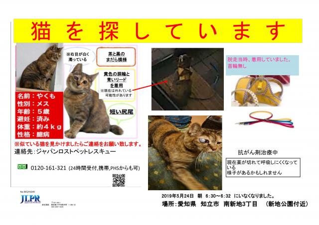 やくも