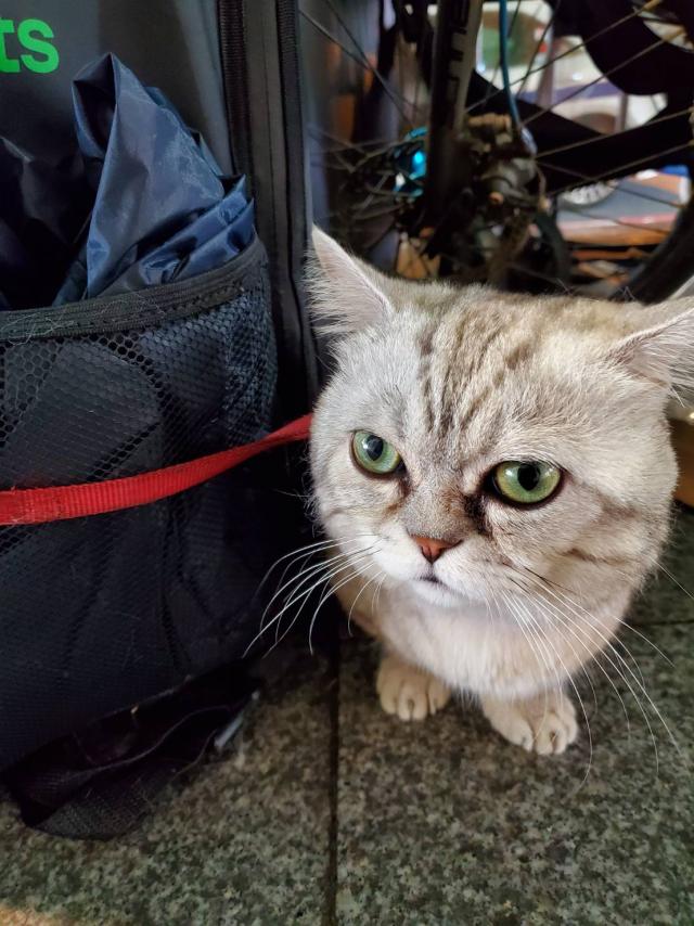 こう