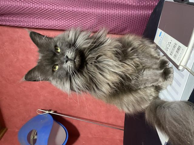 あーちゃん