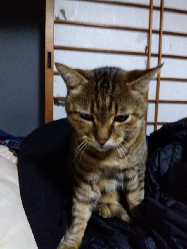 ボス