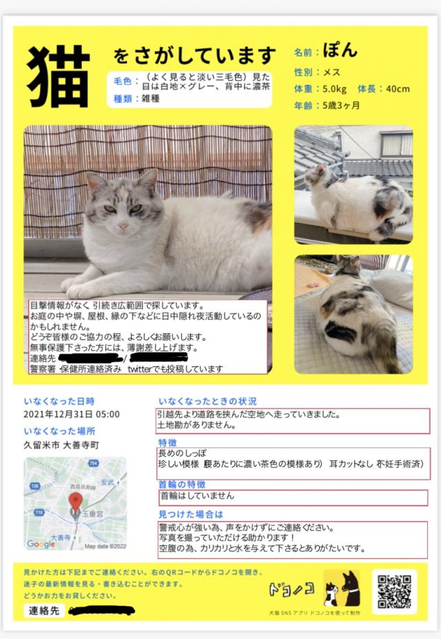 ぽんちゃん