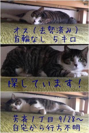 ナブー