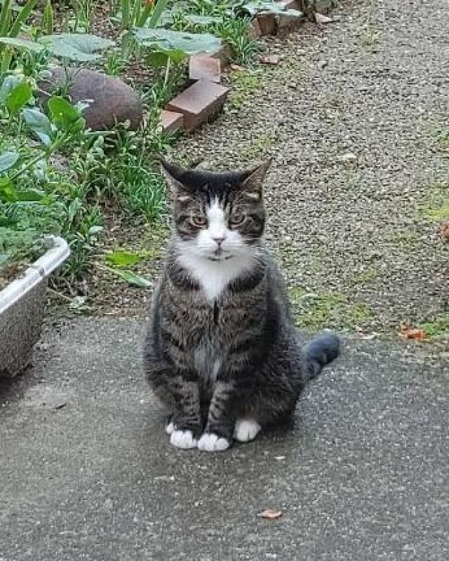ゆう