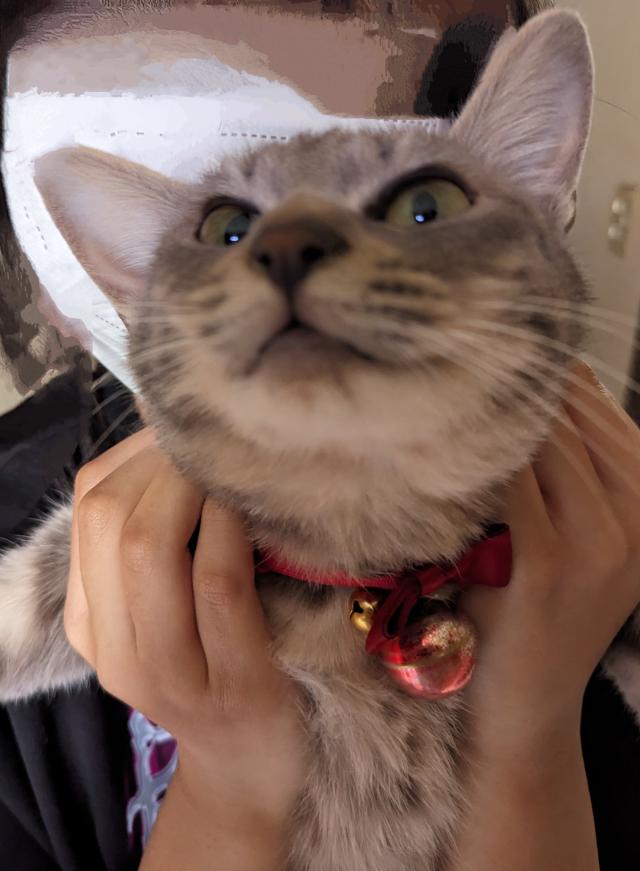 まめ