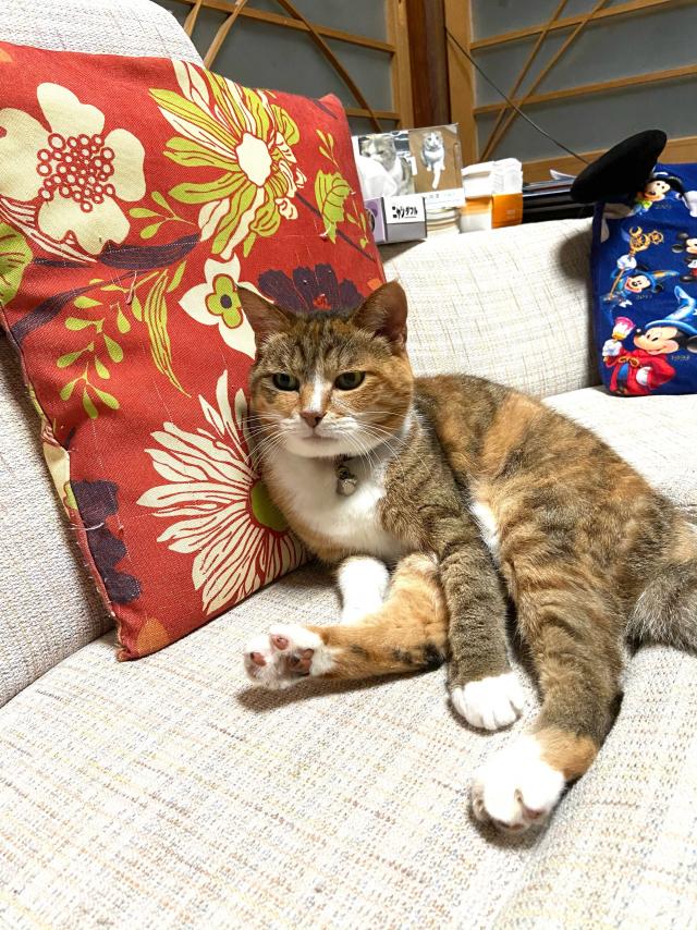 まぁみん