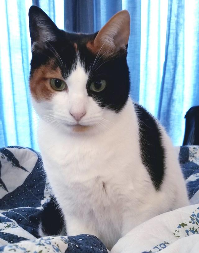 みいちゃん