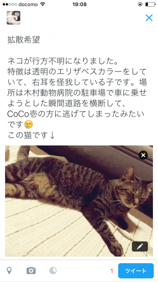 ちゃーちゃん