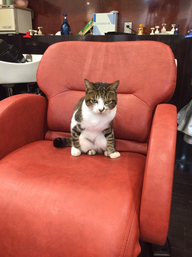 トロ