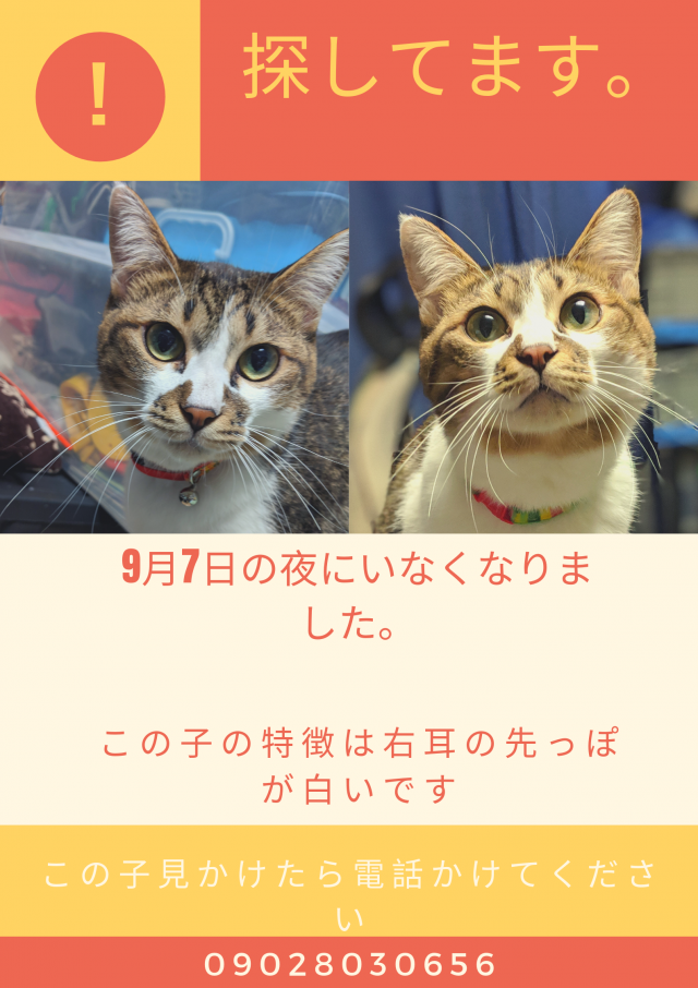 ちじ