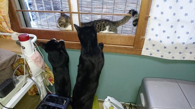 くう