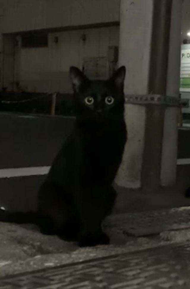 クロちゃん