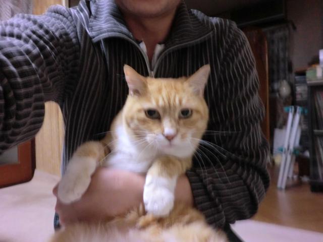 チャー