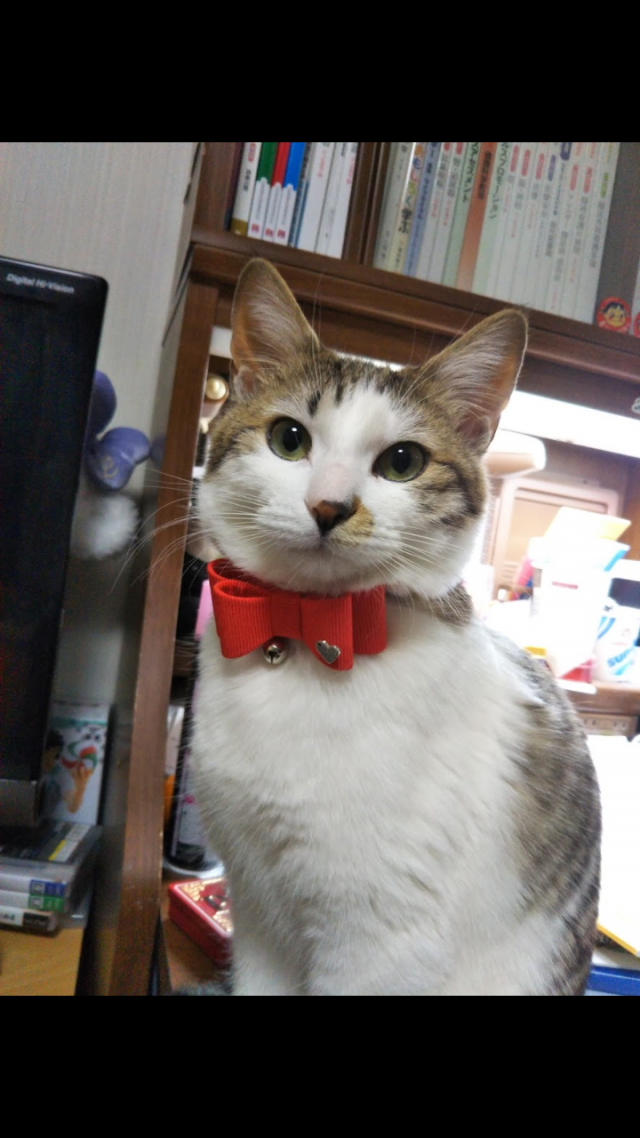てん