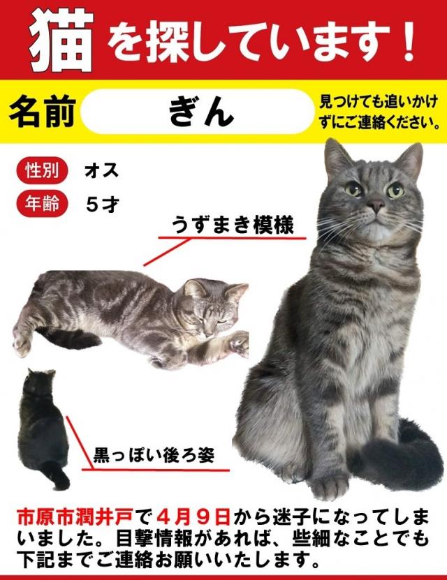 ぎん