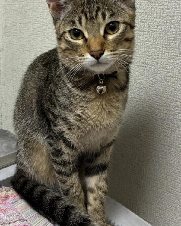 うみ