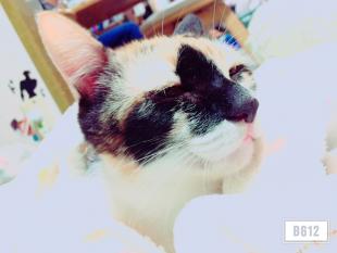 ちーちゃん