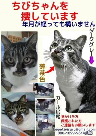 ちび