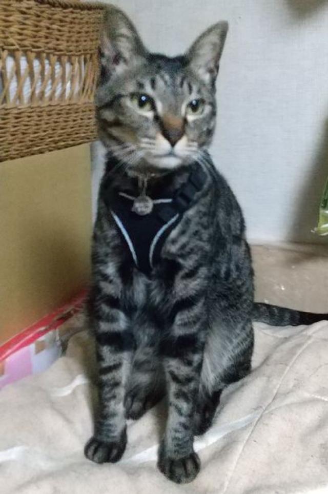 そうた