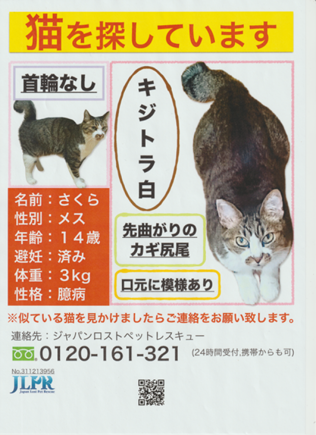 さくら