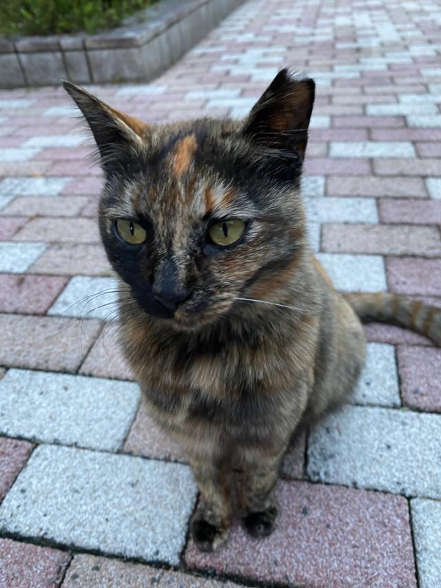 ビエンちゃん