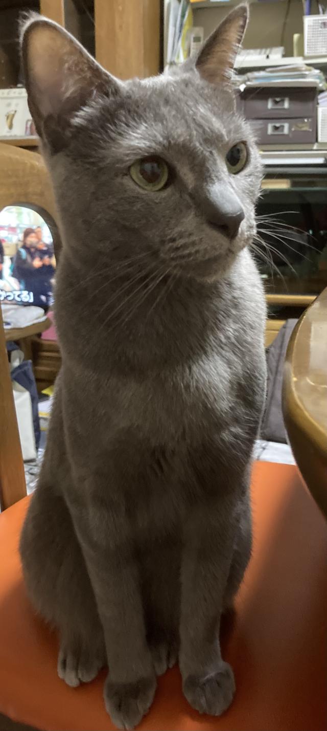 れん