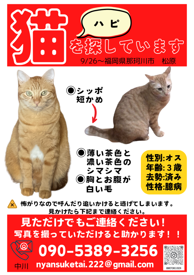 ハピ