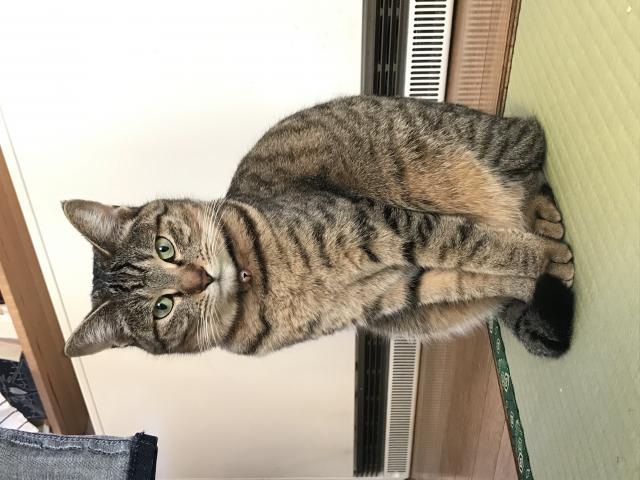 ハナ