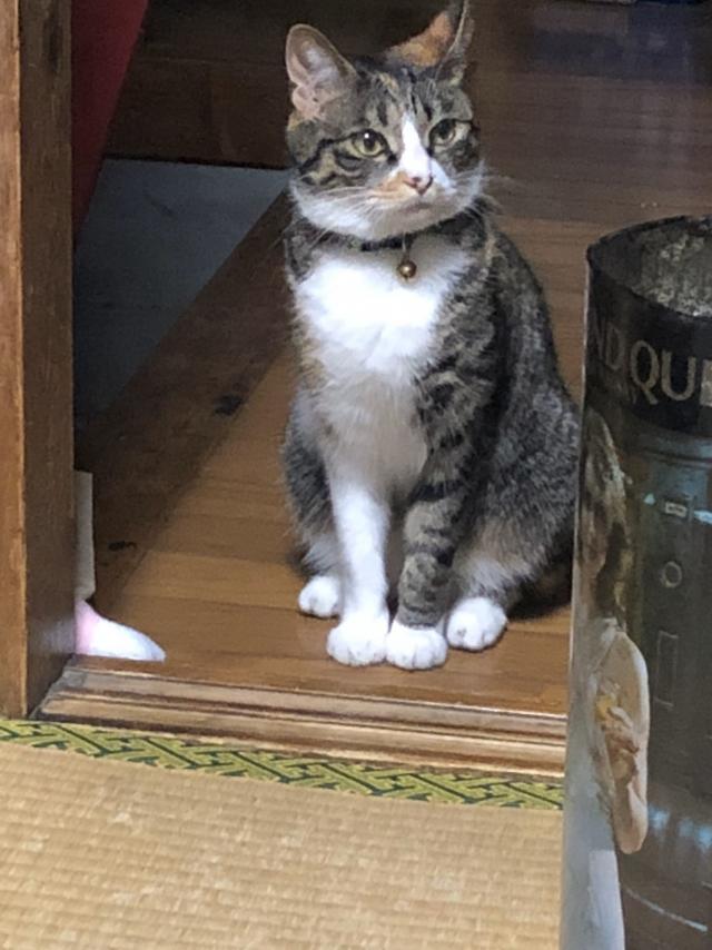 クーニャ