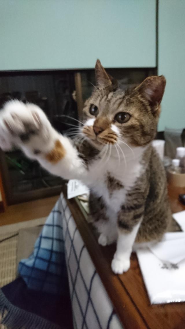 あずみ