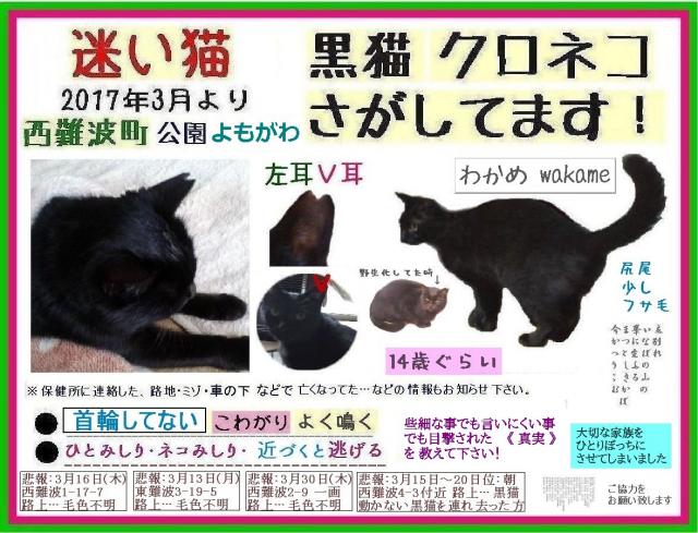 ワカメ