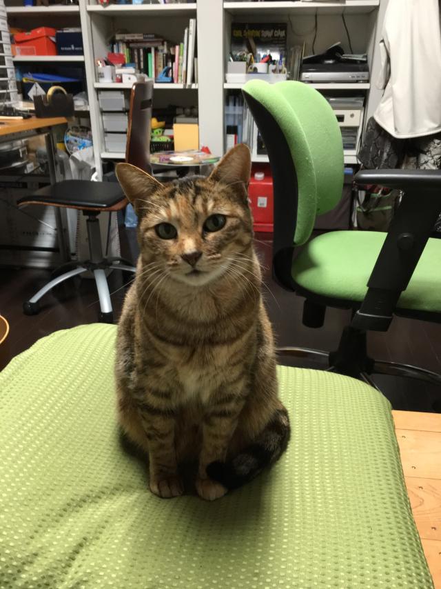 ふのり